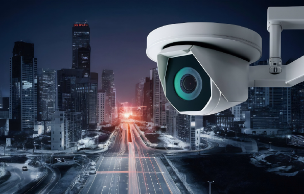 Perimeter Intrusion Detection System